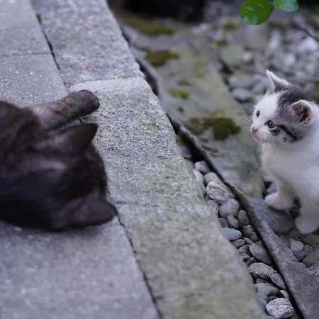 Apartamento Klinglerhof